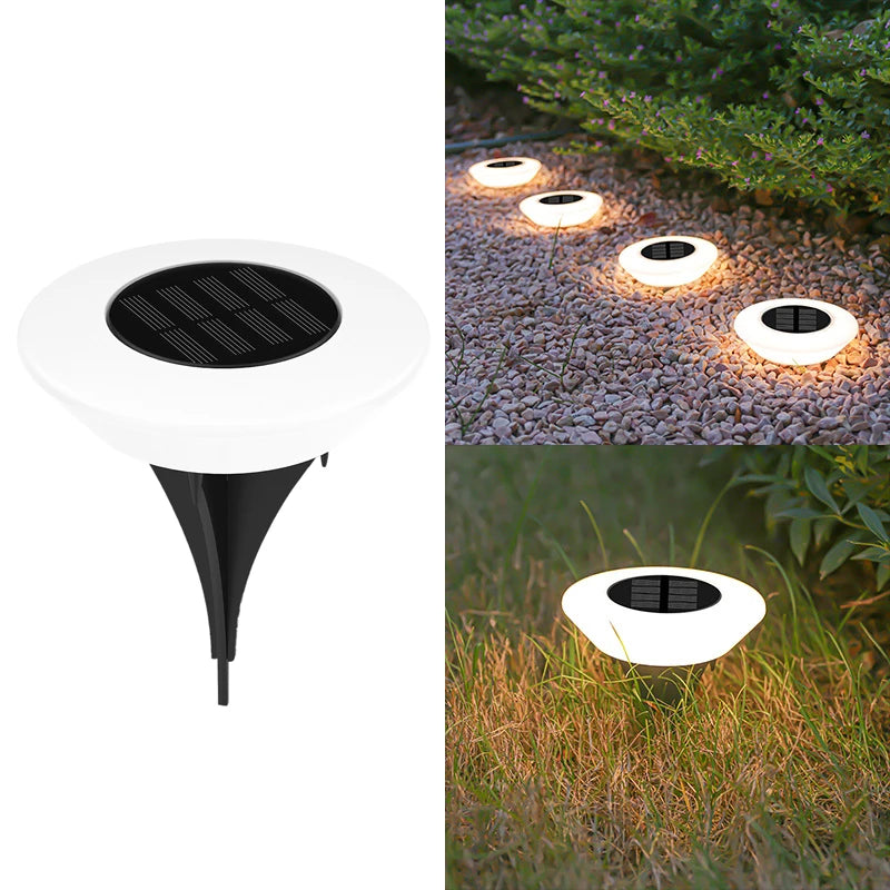 Solar Ground Lights (1/4 Pack)
