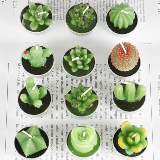 New Creative Aromatherapy Candle Simulated Succulent Plants