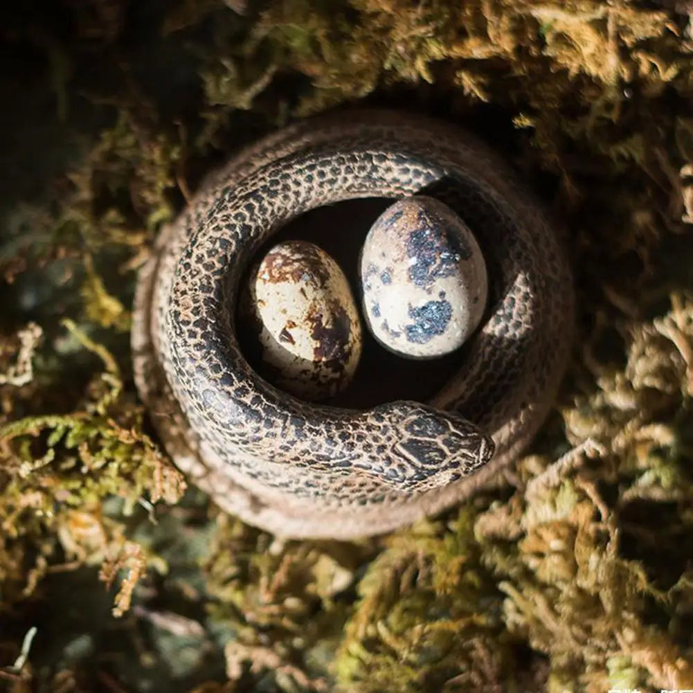 3D Coiled Snake Candle Holder