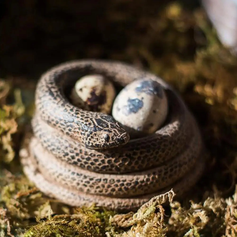 3D Coiled Snake Candle Holder